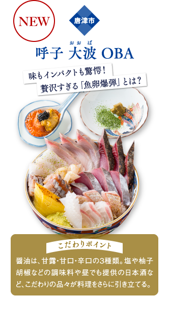 唐津市 呼子 大波 OBA
